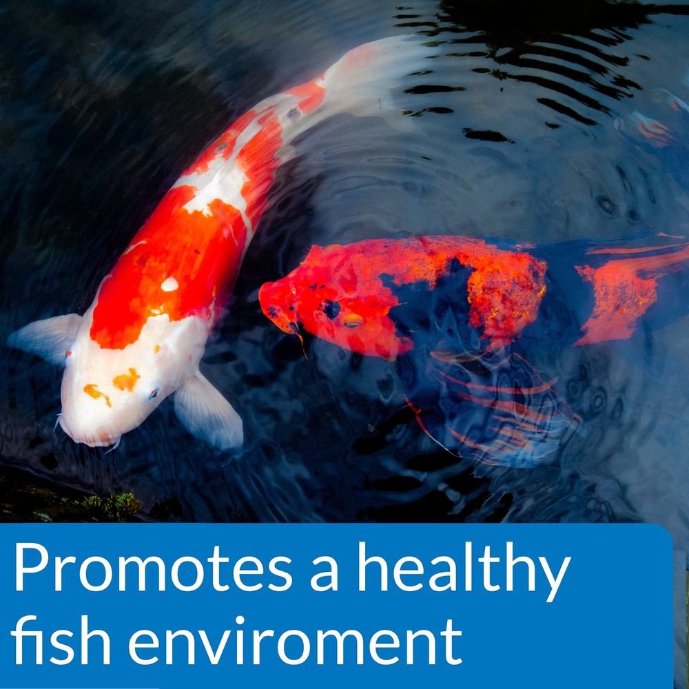 API POND ECOFIX SLUDGE DESTROYER Cleaner Natural Bacteria Algae Organic Remover