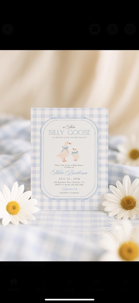 Silly Goose Baby Shower Bundle