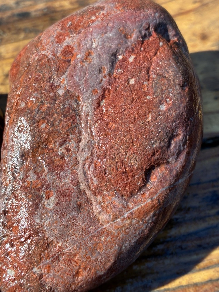 Rocks for Tumbling Lapidary Material Rough