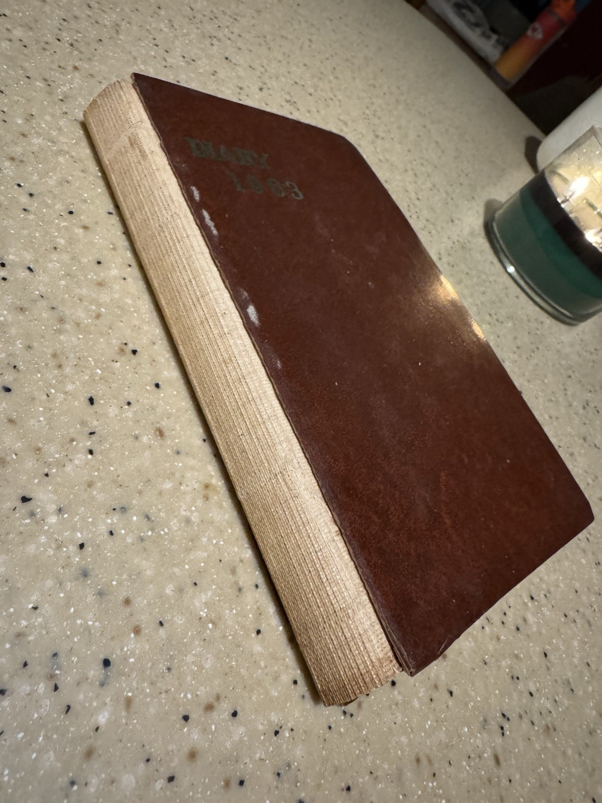 VTG Diary Handwritten JFK President John Kennedy Death Jack Ruby Womans Journal