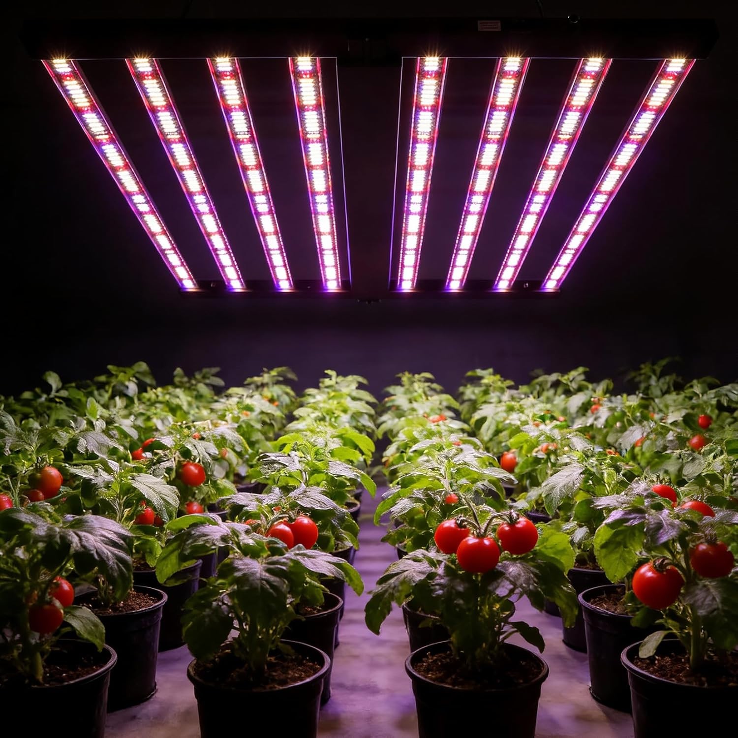600/720/1000W LED Grow Light Dimmable Full Spectrum Plant Growing Lamp 4X4ft