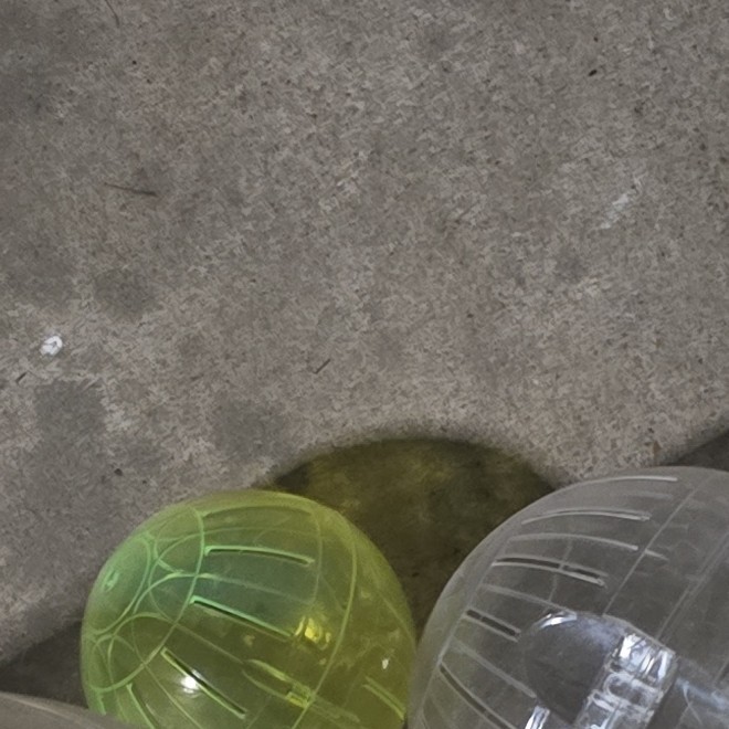 Clear, Purple, Yellow Plastic Exercise Balls for Gerbils