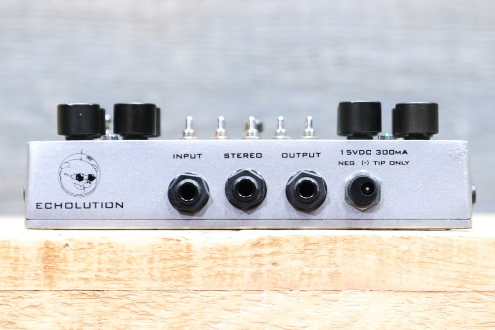 Pigtronix Echolution Unique Analog/Digital Dual Delay Effect Pedal w/Adapter