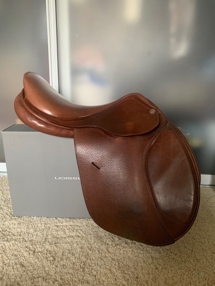 17” Milton Barnsby Aurora