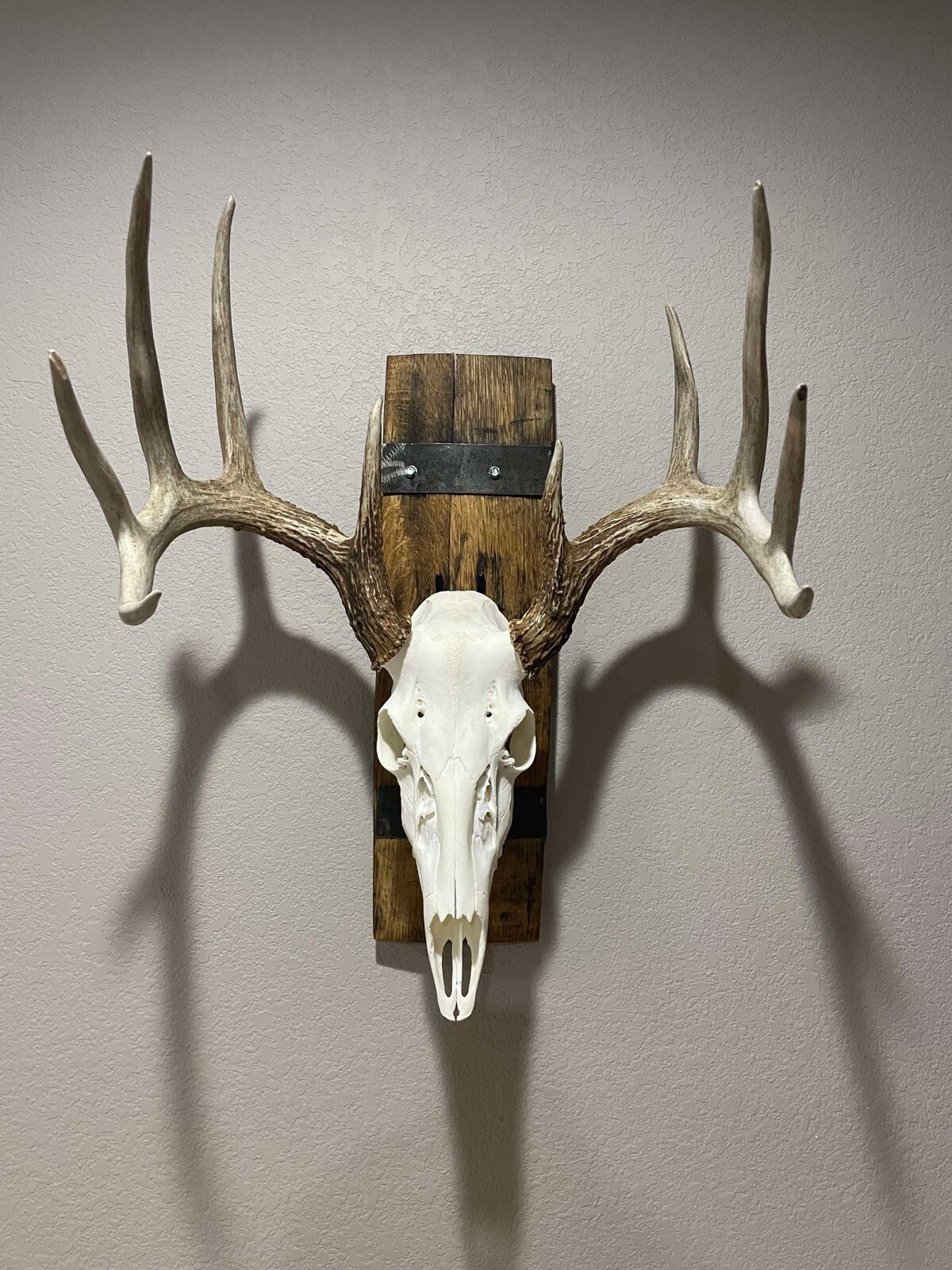 Rustic Barrel European Deer Skull Mounting Plaques