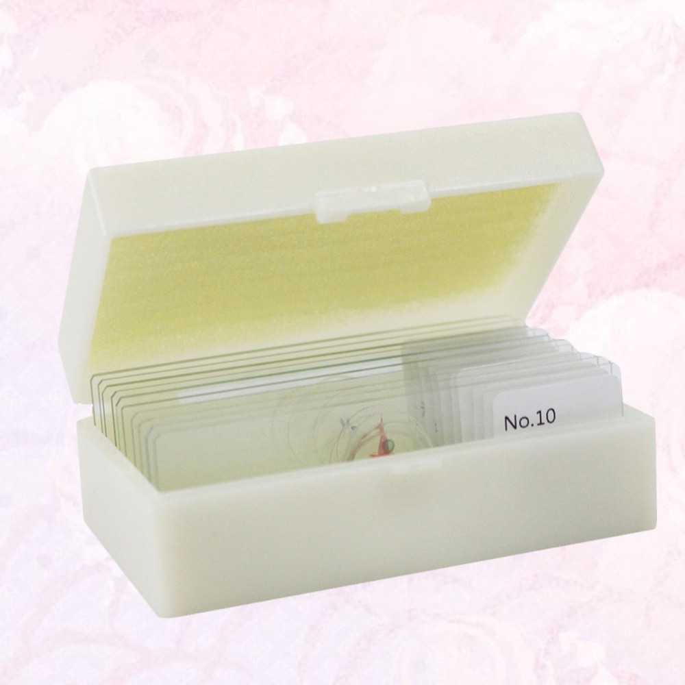 10 PCS/Set Specimen Slides for Microscope Prepared Concave Glass