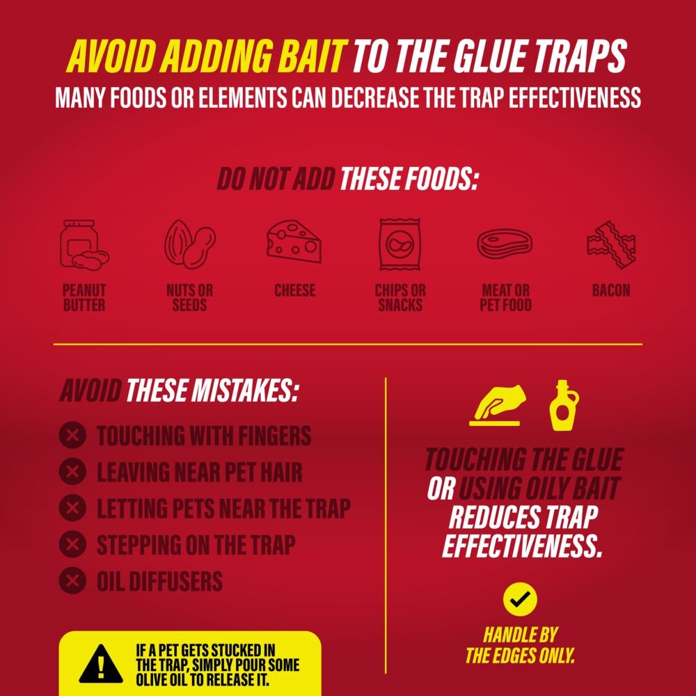 Catchmaster Jumbo Rat & Mouse Glue Traps