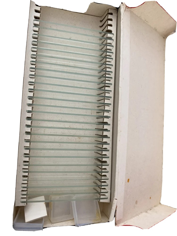 Old Compass Slide Preparing Set No. 5993