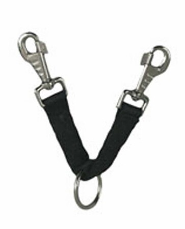 Web Lunging Attachment with Fixed Ring