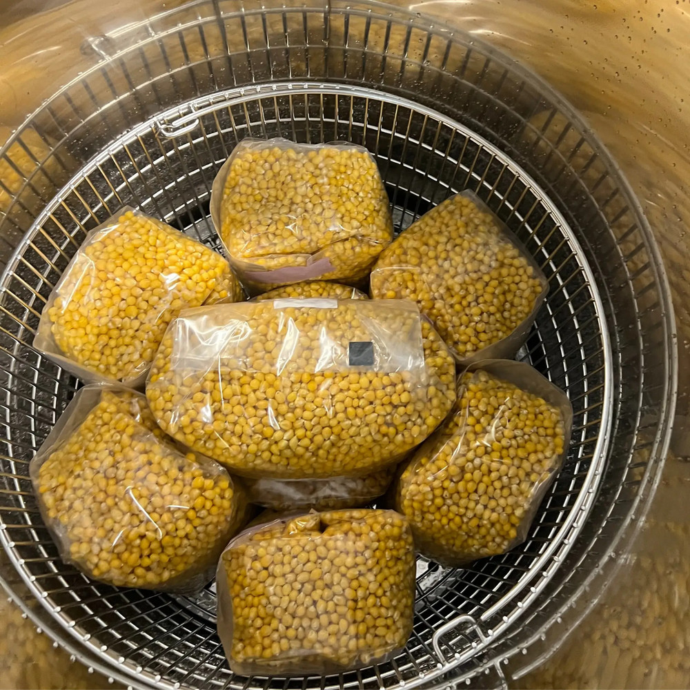 5lb Drippy Corn Grain Spawn
