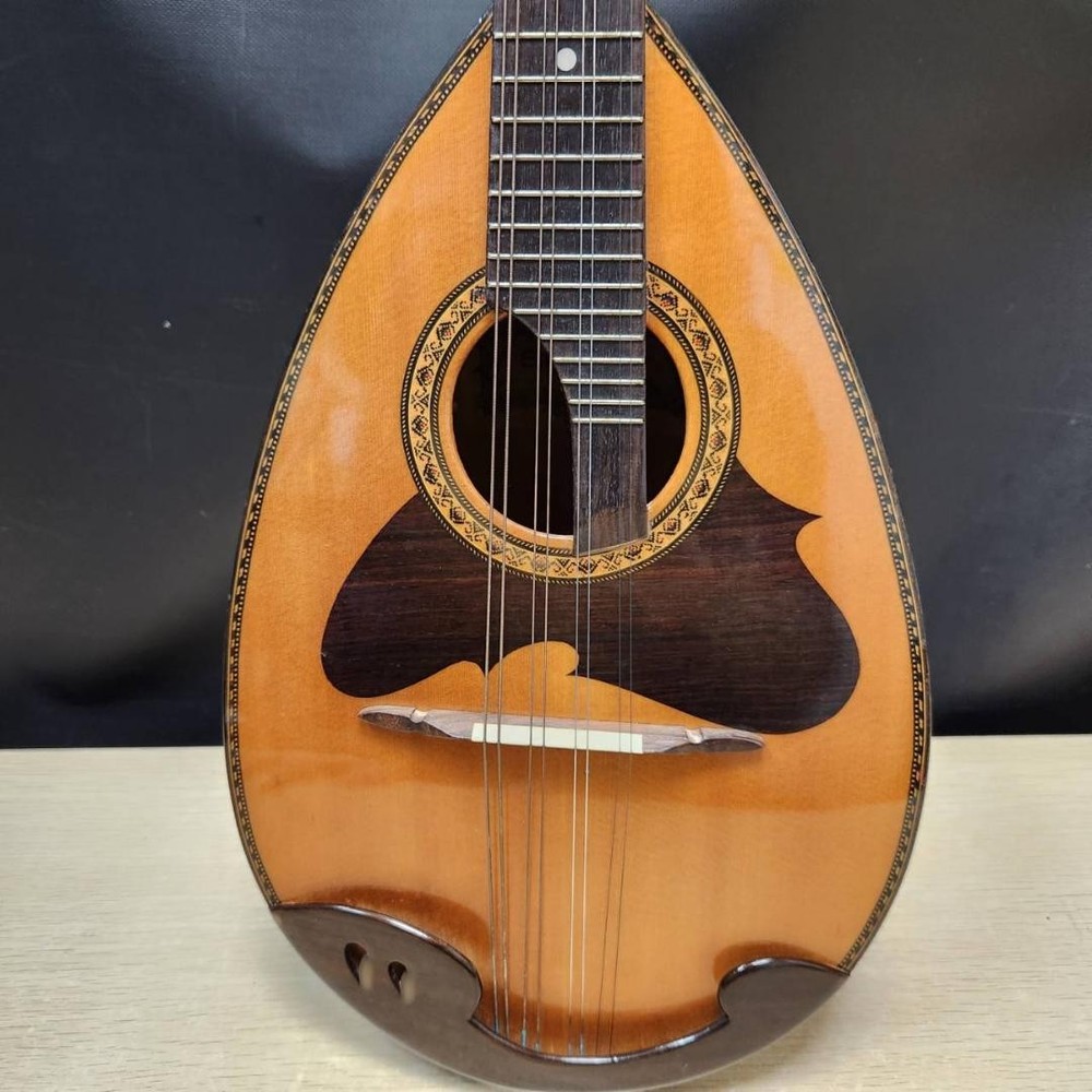 Suzuki violin mandolin M-218 with case