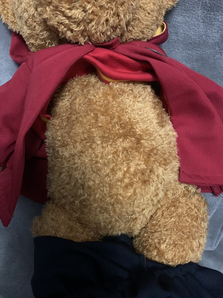 Universal Studios Exclusive Harry Potter Gryffindor Quidditch Teddy Bear Plush