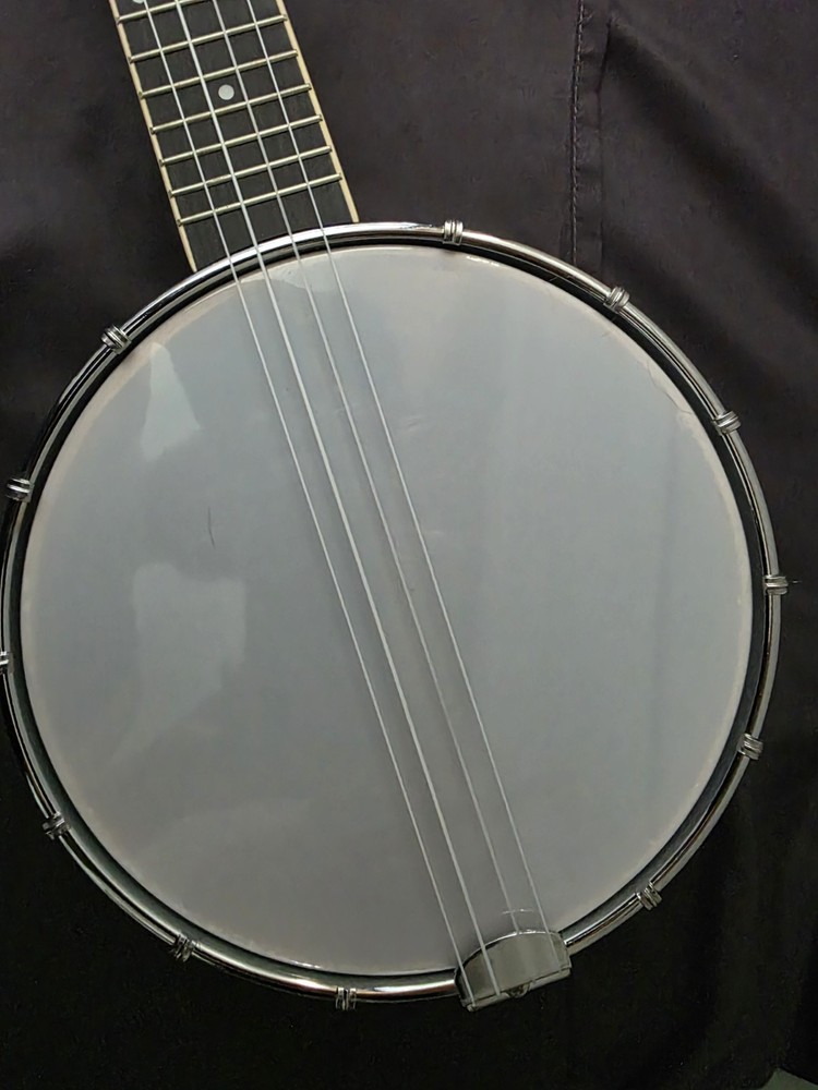 Irin Small Banjo 4 String Solid Body Brown Wood See Disc.