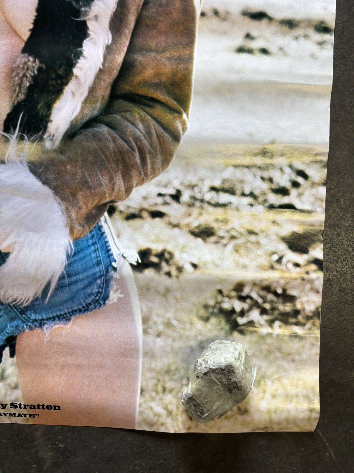 Dorothy Stratton playmate hot girl Poster 1979 car garage man cave C2803