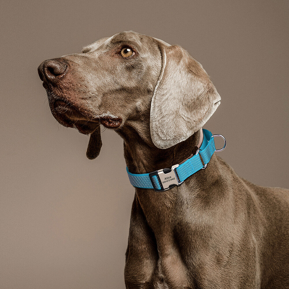 Personalized Martingale Dog Collar Adjustable Durable Non-Slip Training Control