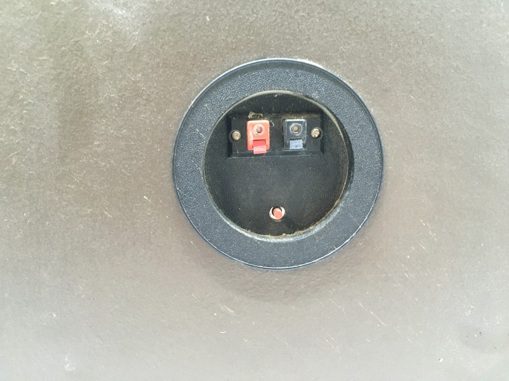 ECI Profile 620 Speaker Pair