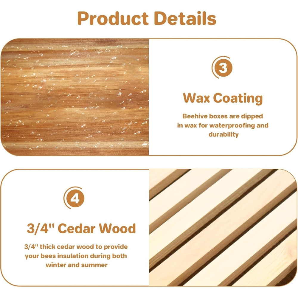 10 Frame Beehive Set with Beeswax Coating: Includes 2 Deep & 1 Medium Boxes