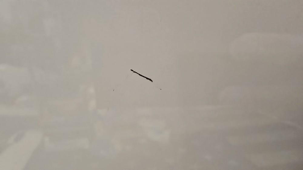 Magic Chef Bread Maker, model: ES1850