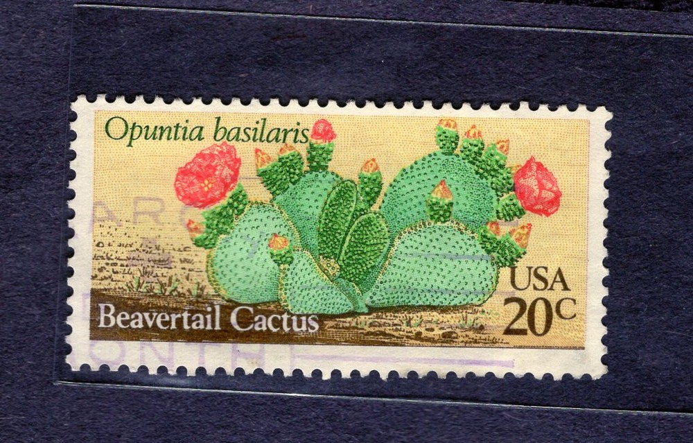 1981 Stamp #1944 Beavertail Cactus Used
