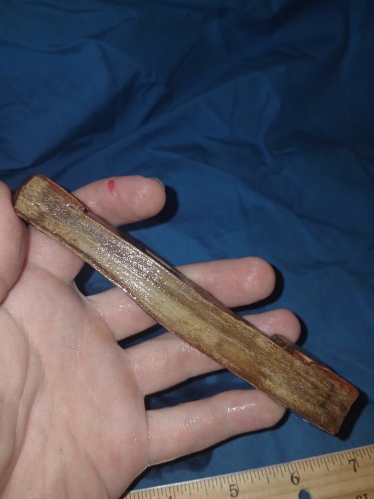 5 oz Agatized Petrified Wood