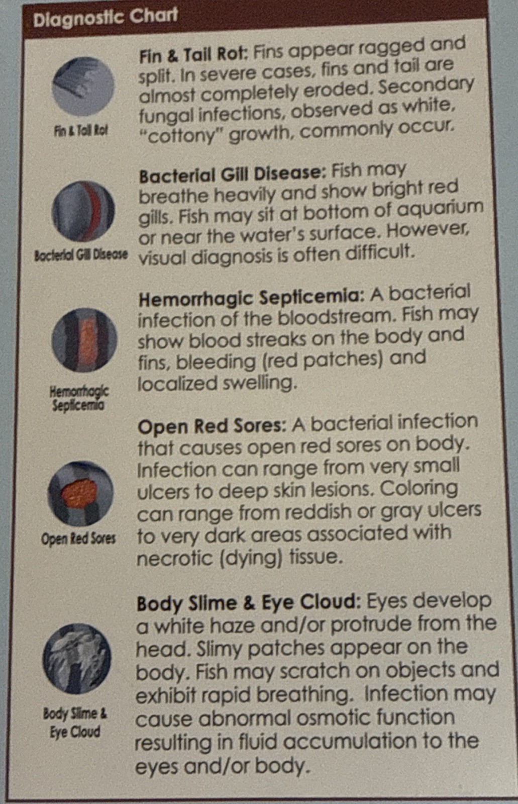 API FIN & BODY CURE Remedy Aquarium Tropical Fish Bacteria Exp 2/27