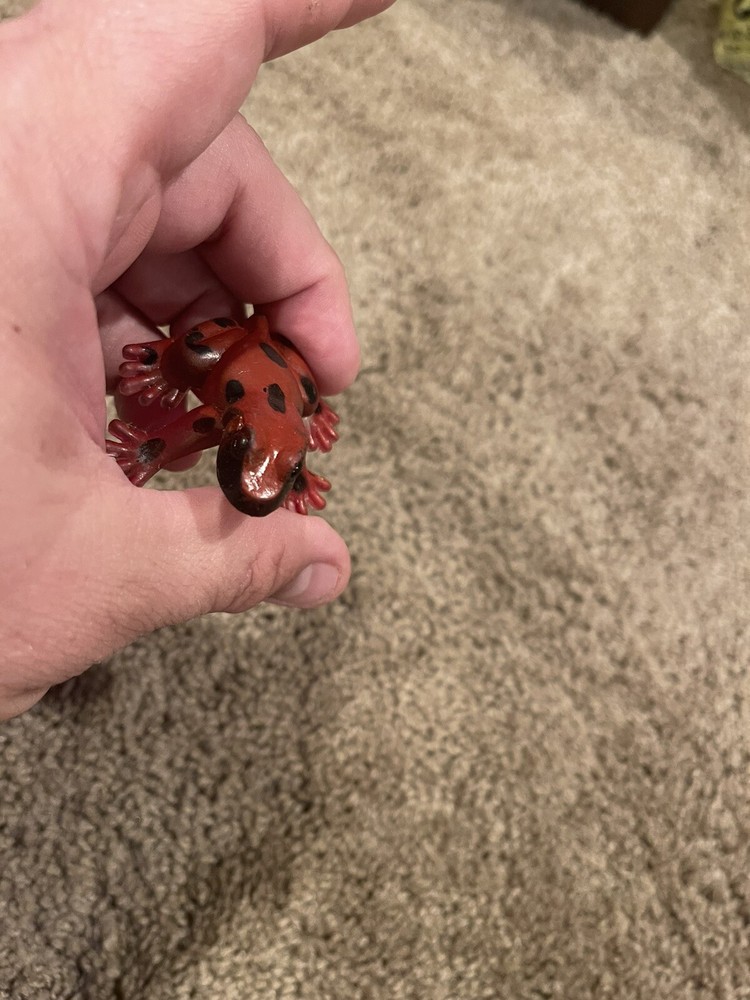 RED TREE FROG Animal Figure