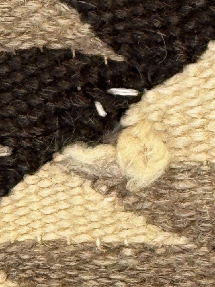 Navajo Transitional Period Rug