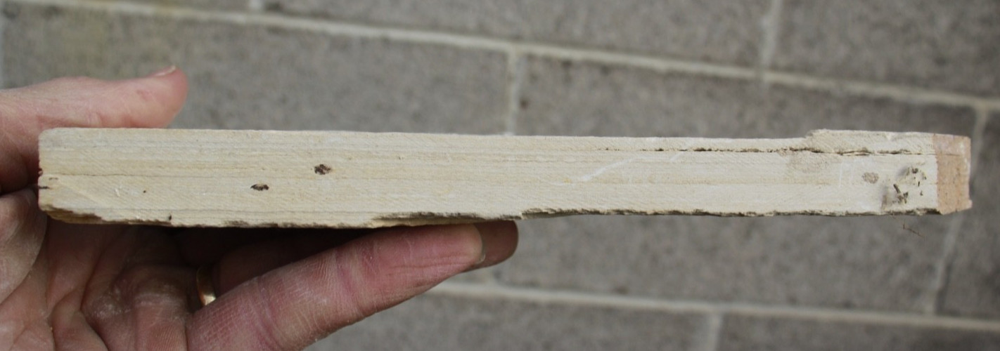 5.25" Unprepared Priscacara from 18" Layer • Dempsey Ranch, Wyoming