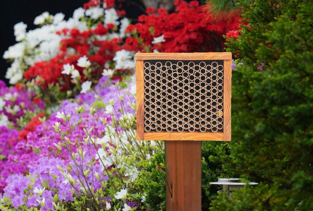 Mason Bee House -Wax Coated Bee Houses,Bee House for the Garden, Mason Bee Hotel