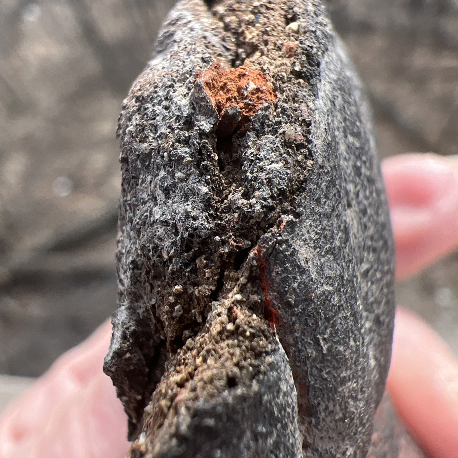 Carved STONE HEAD/EFFIGY May Be Mayan