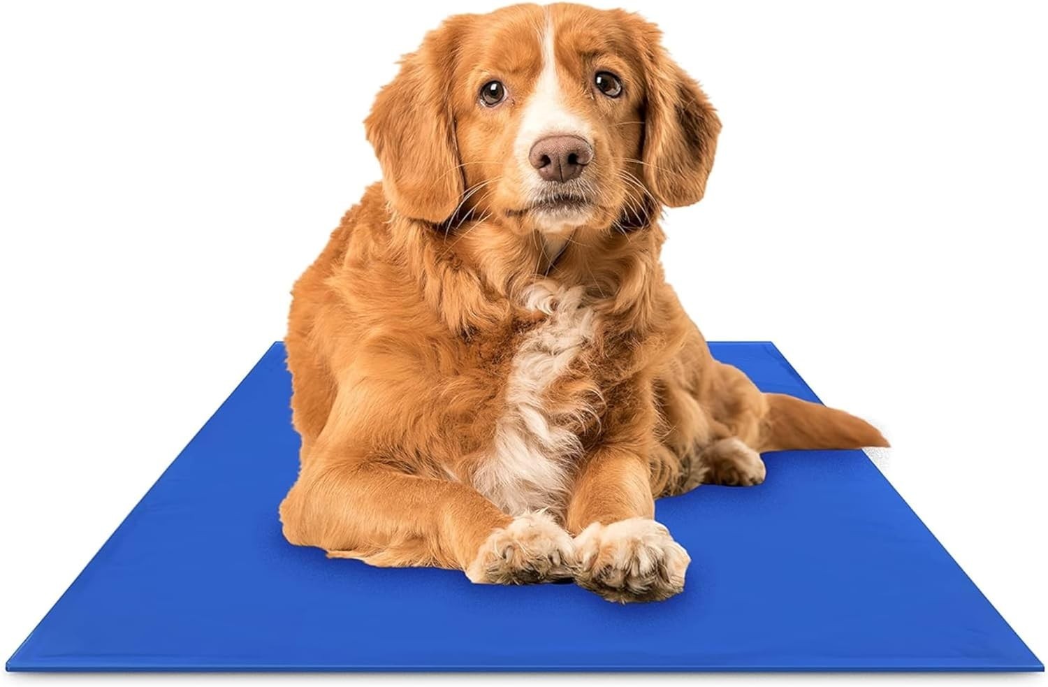 The Green Pet Shop Chillz Gel Mat, Medium - Pressure-Activated Cooling Pad