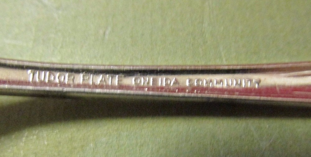 ONEIDA COMMUNITY TUDOR SILVER PLATE SET FLATWARE LOT OF 9