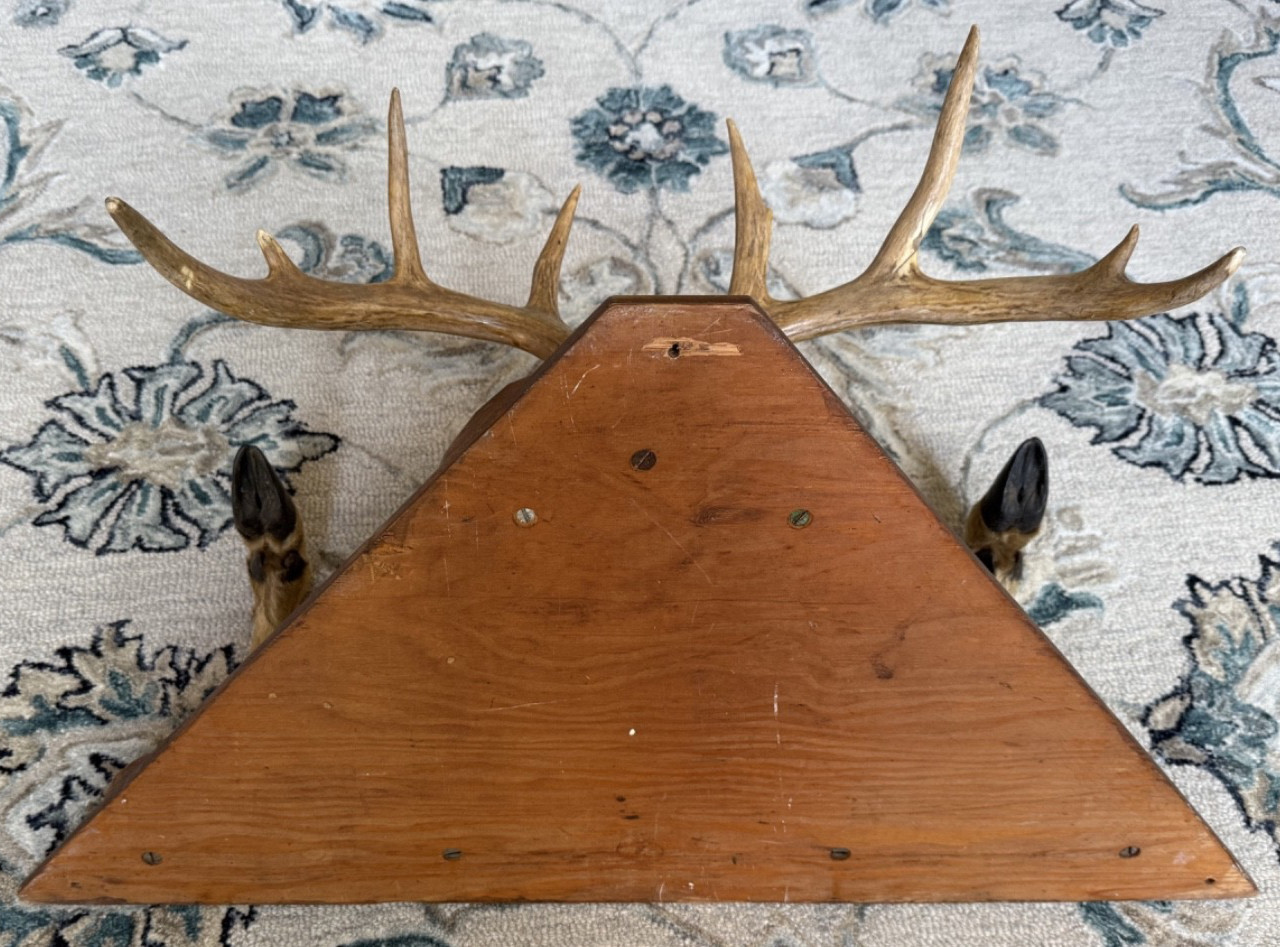 Vintage Taxidermy Deer Antler Hoof Coat Rack Hat Rack Man Cave Bar
