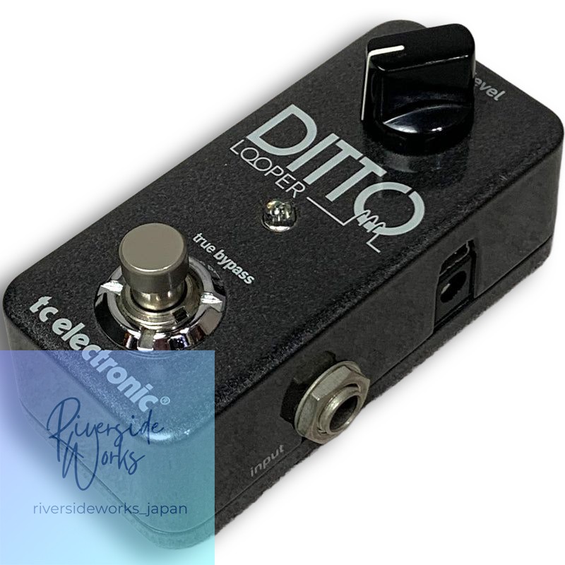 tc electronic Ditto Looper Pedal 5-Minute Loop Time