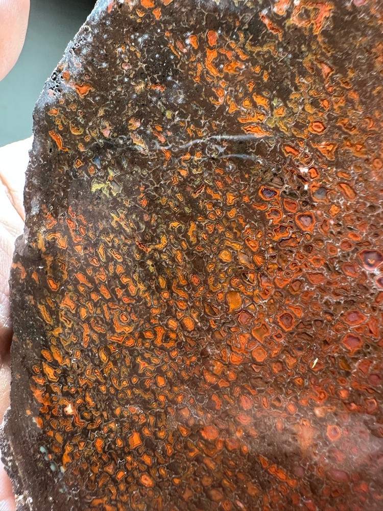 Dinosaur bone rough **hxtled slab.