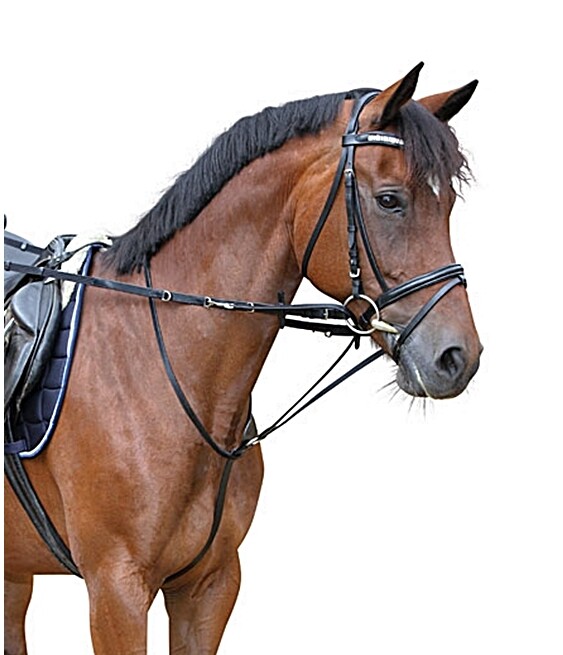Martingale Thiedemann