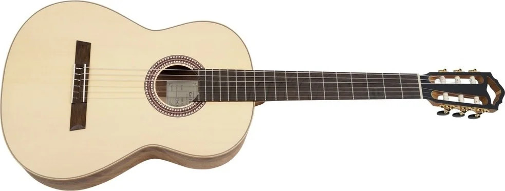 HOFNER Classical Master Guitar