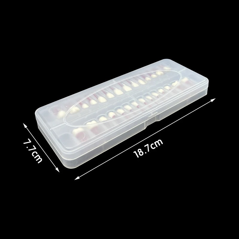 Modelo Acrilico Endodoncia Advanced Root Canal Model Teeth For Rct Practice