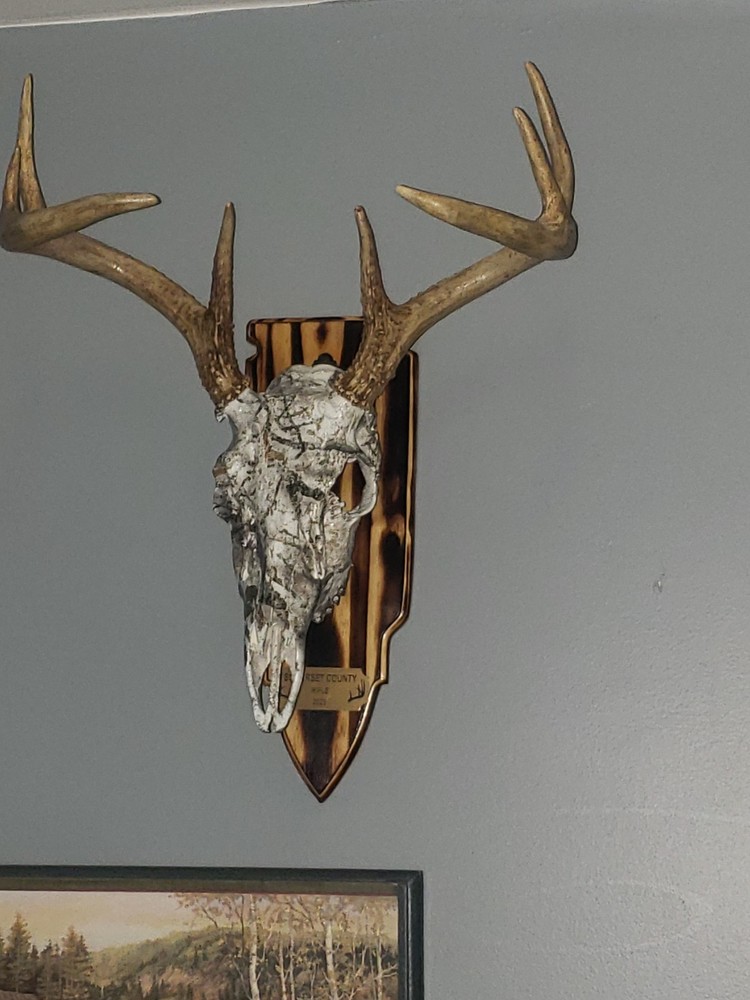 Deer Antler Mount Plaque