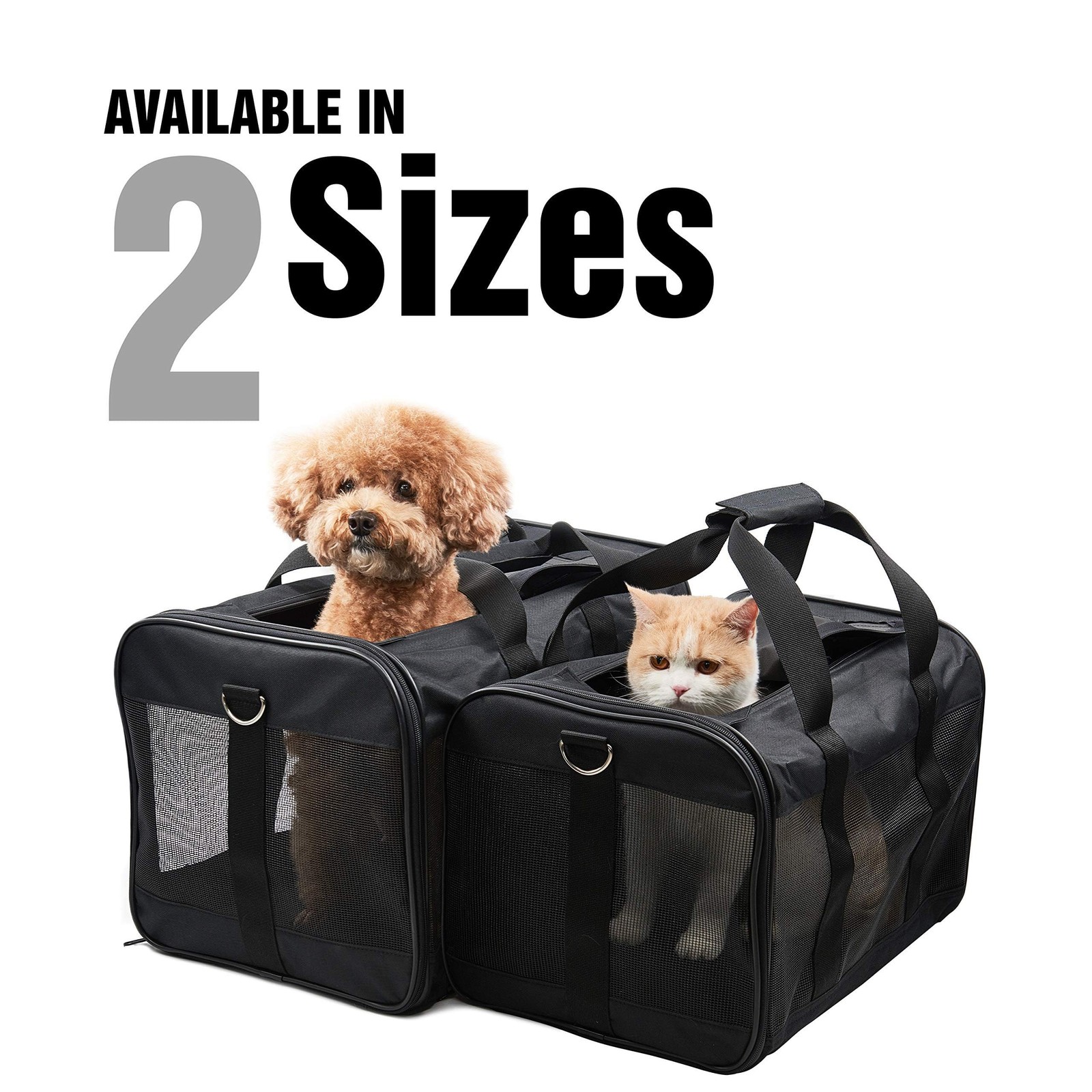 Pet Travel Carrier Soft Sided Portable Bag for Cats Small Dogs (Medium)