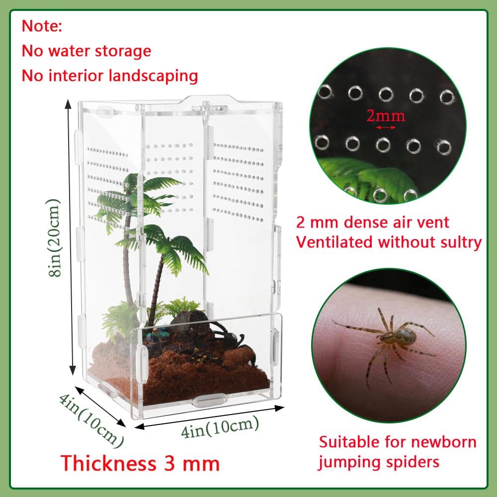 8x4x4 Inch Modern Rectangular Acrylic & Polycarbonate Vivarium for Tarantulas...