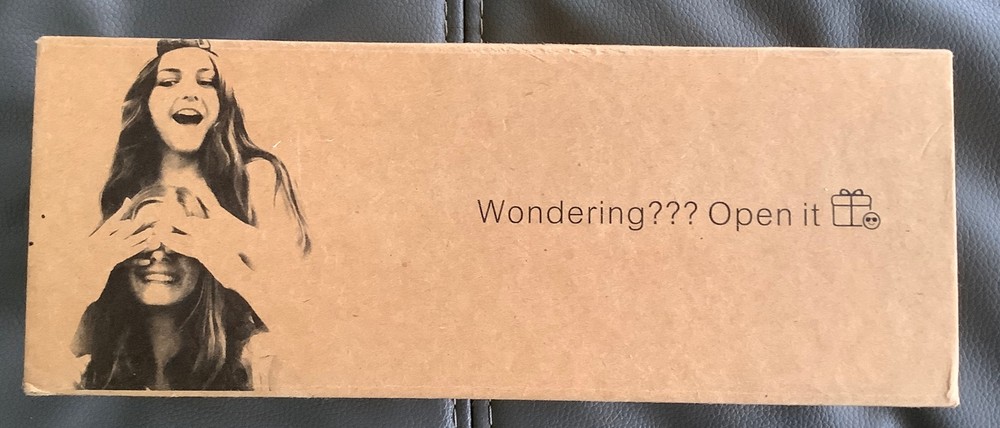 Newisdom Wireless Karaoke Microphone