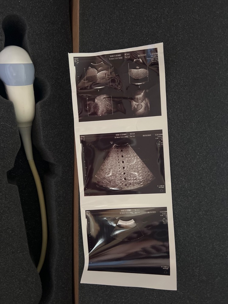 GE RAB2-5-D 3D/4D Curved Array Ultrasound Transducer