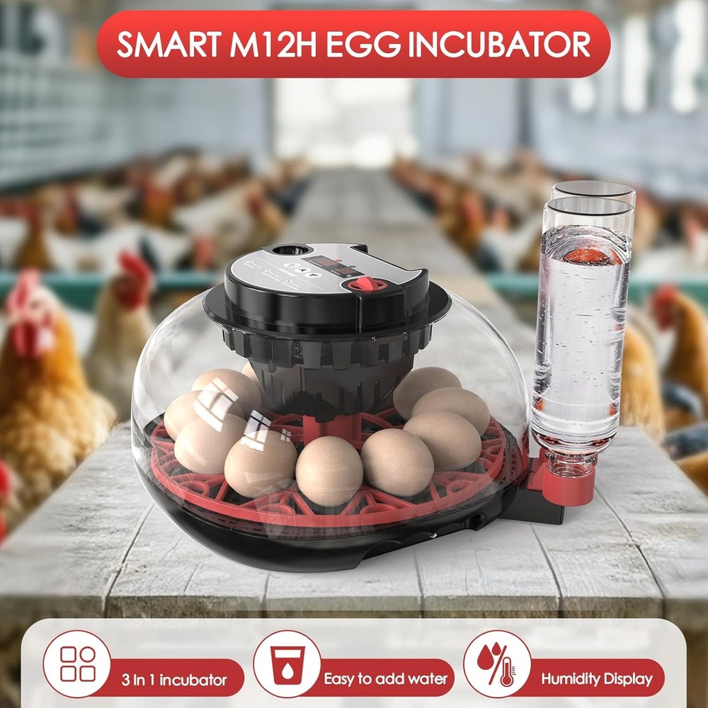 Automatic Chicken Incubator with Temperature Humidity Control for Hatching Eggs
