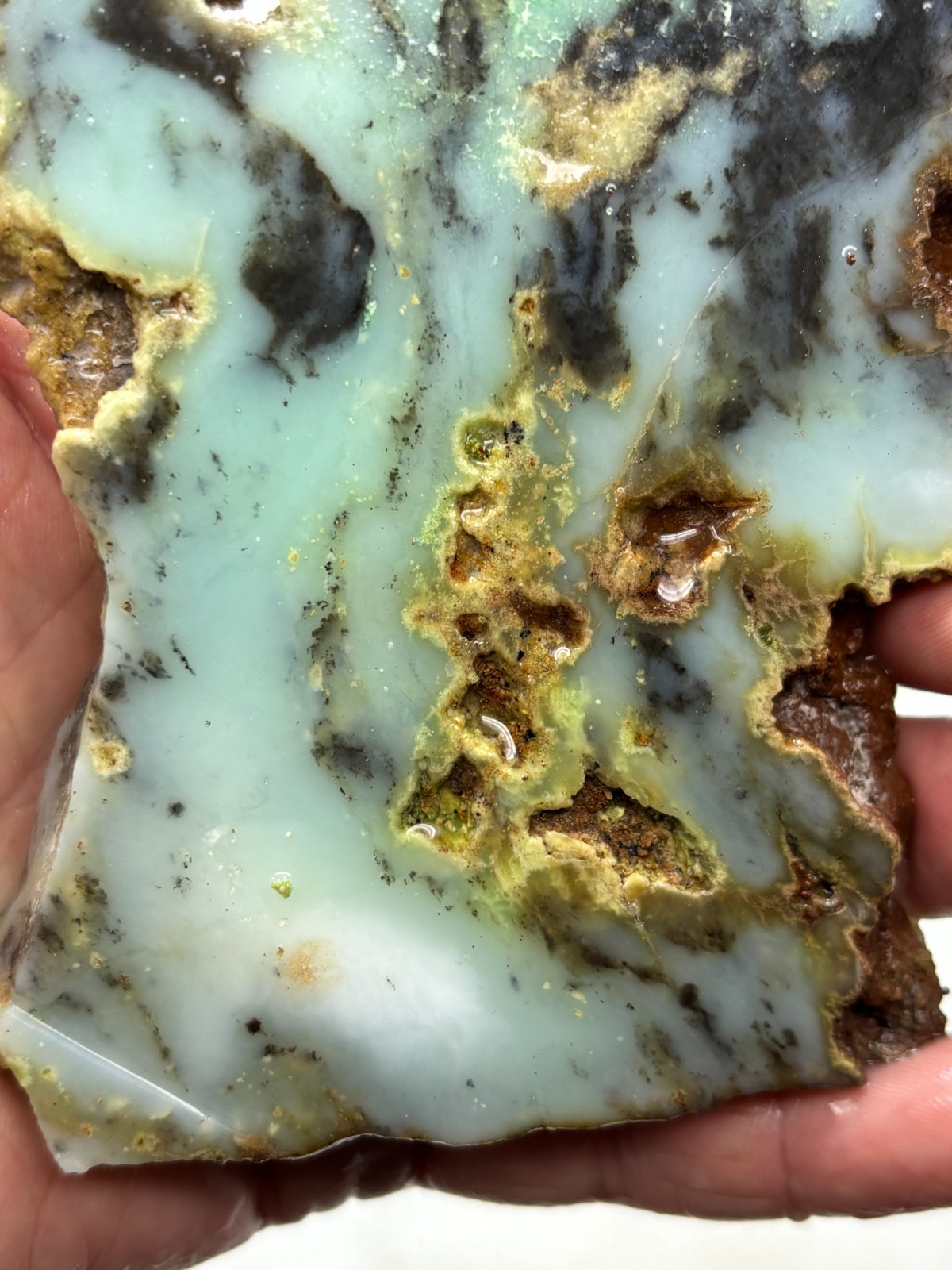 Indo Dendritic Chrysoprase Slab Cabbing Lapidary Collecting Combo Ship Avail
