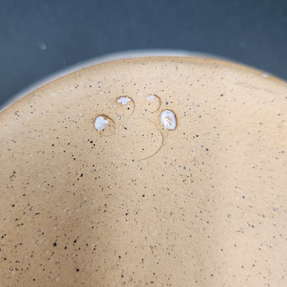 Ceramic Glazed Pet Dish 6.5"