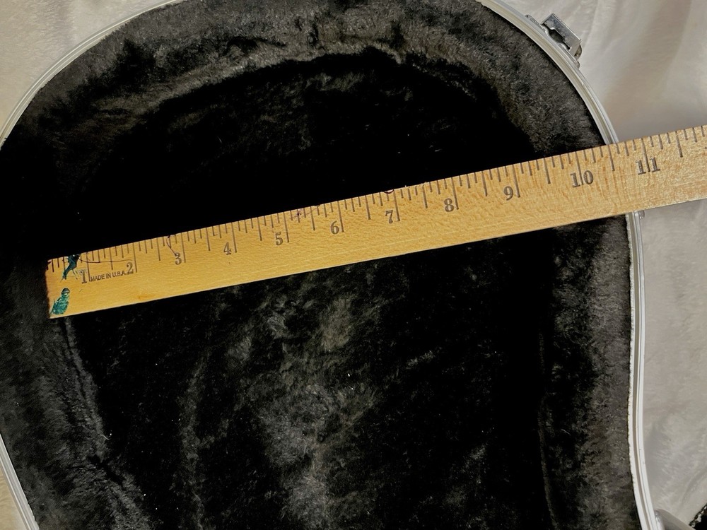 BIG Viola Thermoplastic Hard case