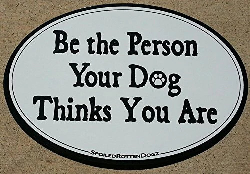 Magnet Dog Freak