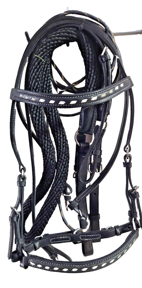 Bridle set Paso Fino