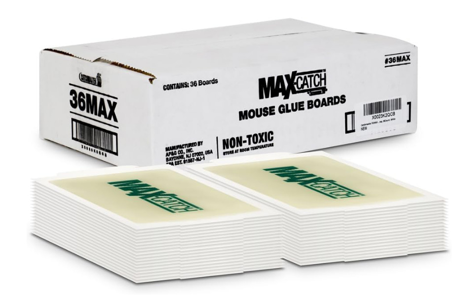 Catchmaster Max-Catch Mouse & Insect Glue Trap 36Pk, Mouse Traps Indoor